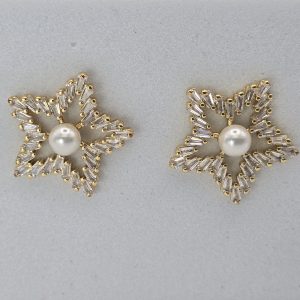 ZARCILLOS ESTRELLAS PERLADAS