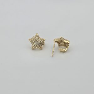 ZARCILLOS ESTRELLA DE LA NOCHE (ARGOLLAS IMCOMPLETAS)